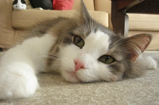 DSC04445.jpg