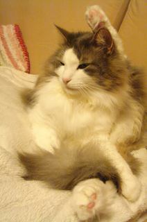 DSC04445.jpg