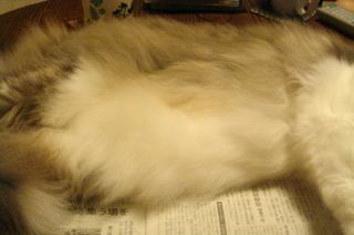 DSC04445.jpg